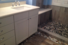 Fishers Remodeling Bathroom IN