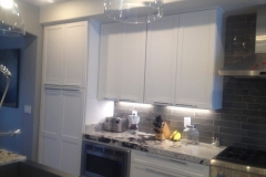 Remodeling IN Fishers Kitchen